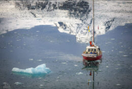 Spitsbergen_2025 (50/78)